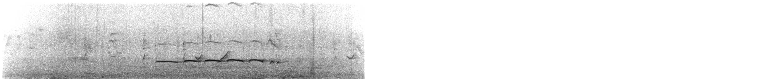 Dideric Cuckoo - ML637780534