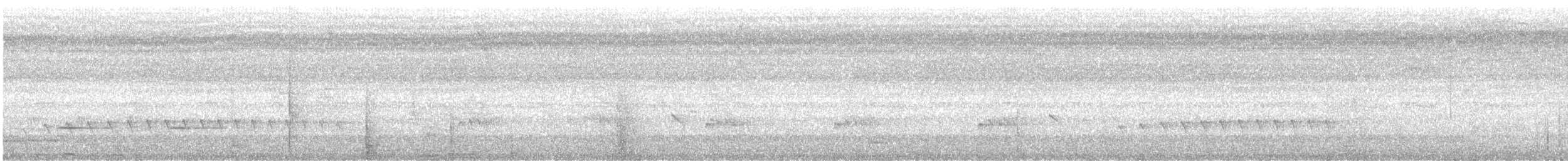 Grisin sombre - ML637780944
