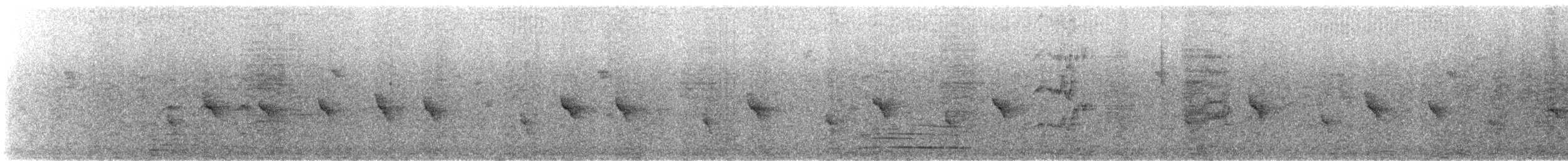 Scarlet-chested Sunbird - ML637781957