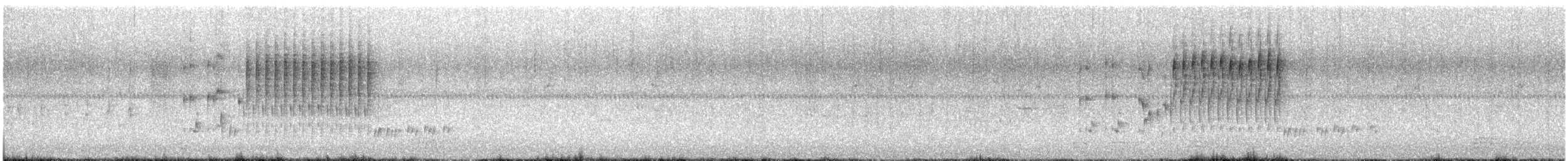 ハシナガヌマミソサザイ - ML637783244