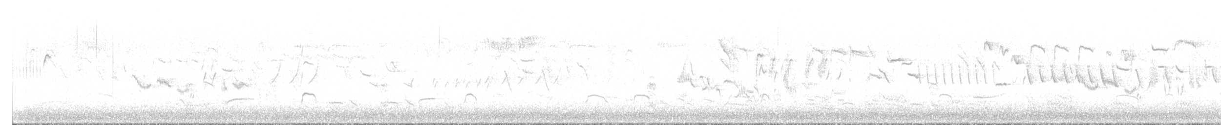 Eurasian Oystercatcher (Western) - ML637783668
