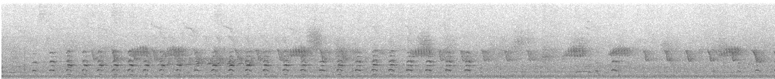 Oriental Pied-Hornbill - ML637784114