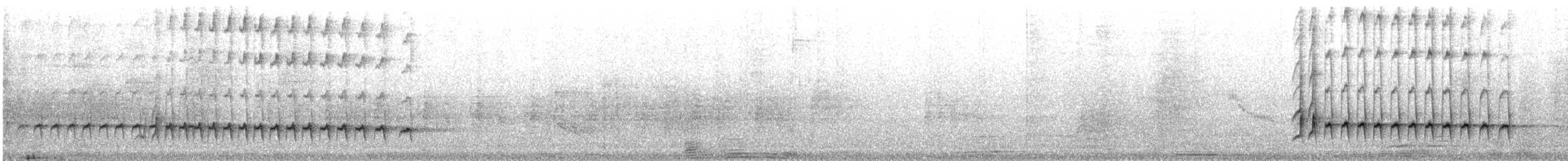 Large Woodshrike - ML637784116