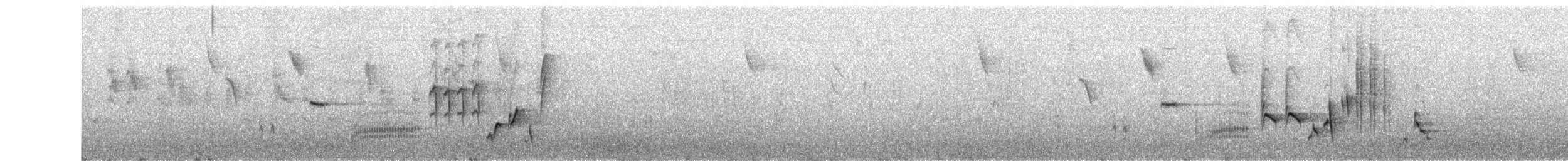 Зулбаран гургалдай - ML637784745