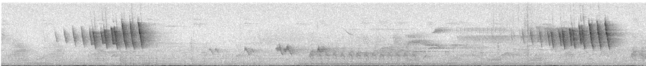 Wilson's Warbler - ML637785719