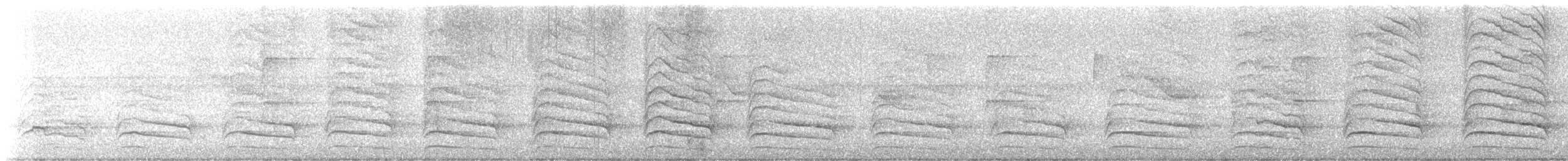 káně páskovaná - ML637786628