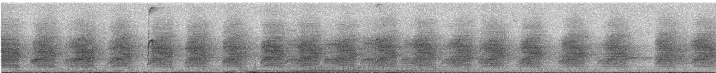 Steller's Jay - ML637787449