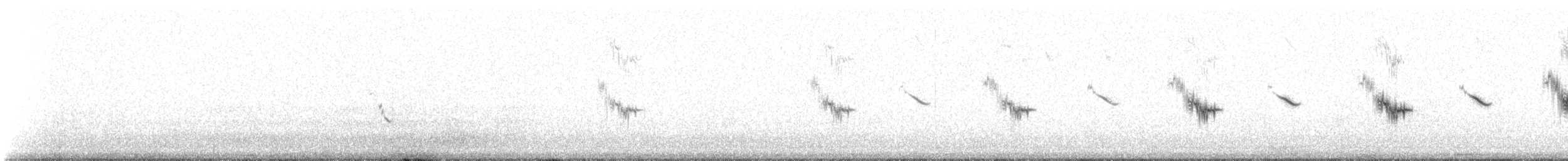 Chirruping Wedgebill - ML637787971