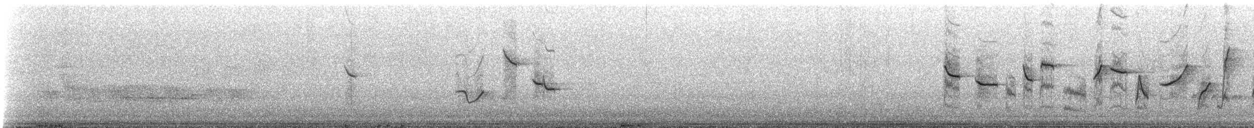 Speckled Warbler - ML637788494