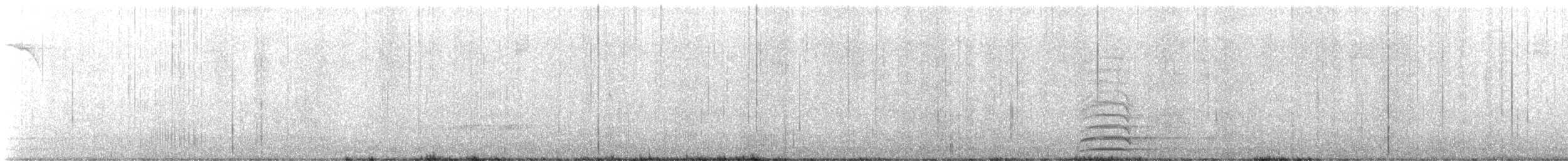 Common Raven - ML637788662