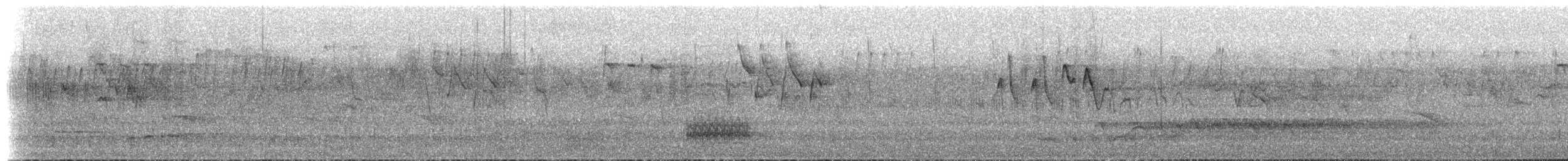 Southern Nutcracker - ML637788676