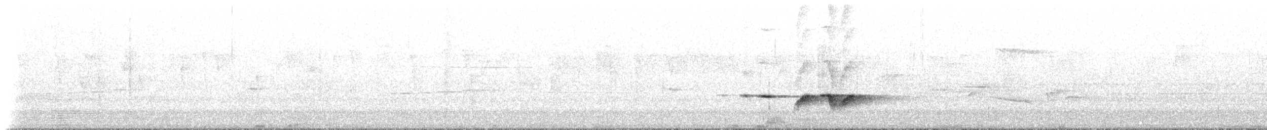 Gray-bellied Tesia - ML637788963