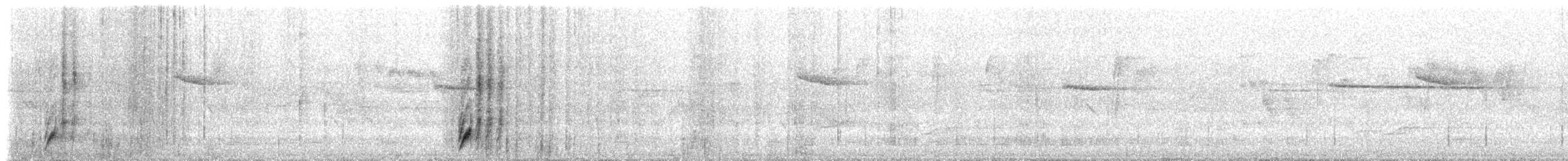 Slender-billed Scimitar-Babbler - ML637789016