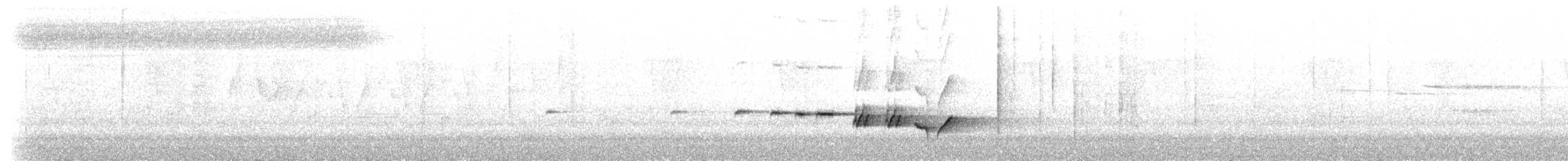 Gray-bellied Tesia - ML637790295