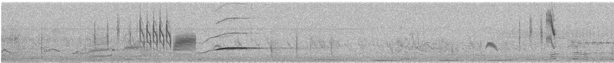 Grass Wren (Northern) - ML637792831