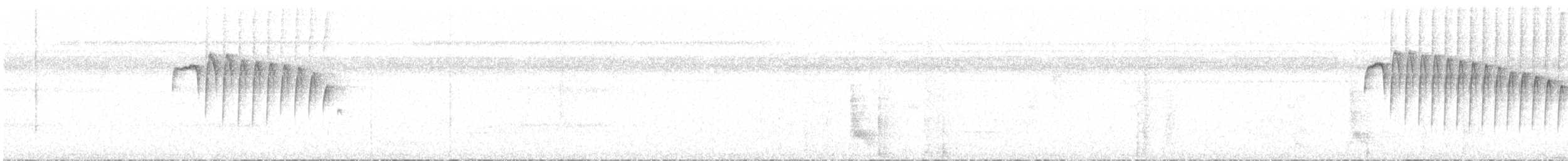 Ornate Stipplethroat - ML637792936