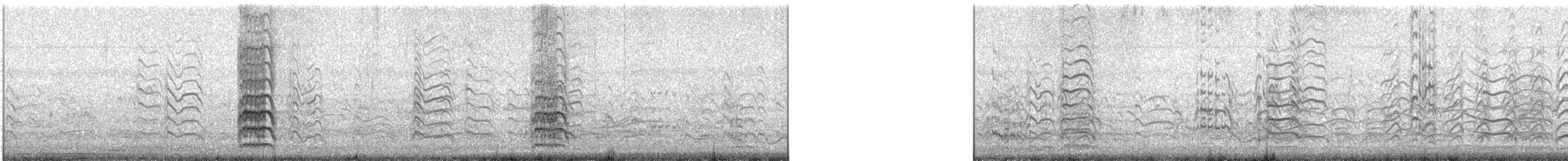 Royal Tern - ML637793896