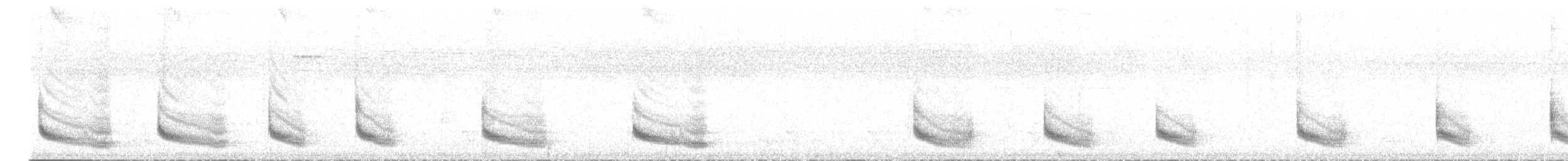 Coraya Wren - ML637794563