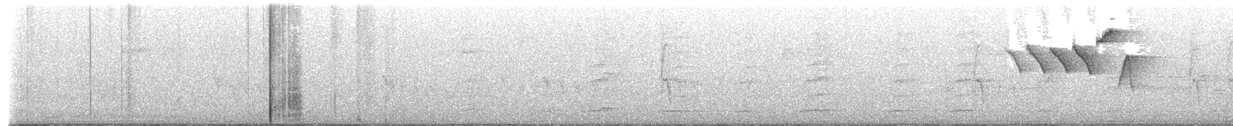 American Redstart - ML637795366