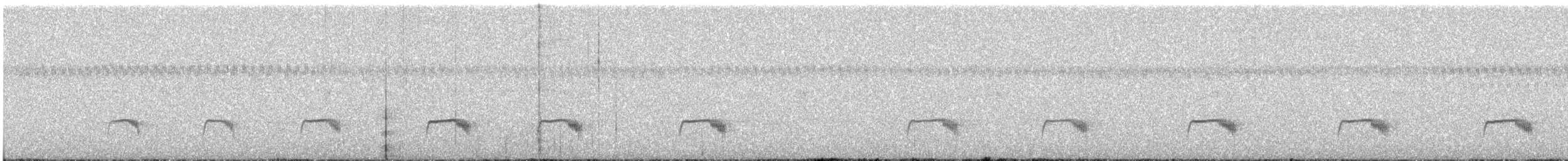 Tschudi's Nightjar - ML637795451