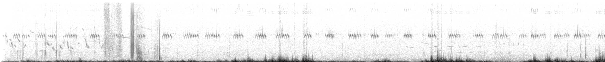 Plectrophane à ventre gris - ML637796071