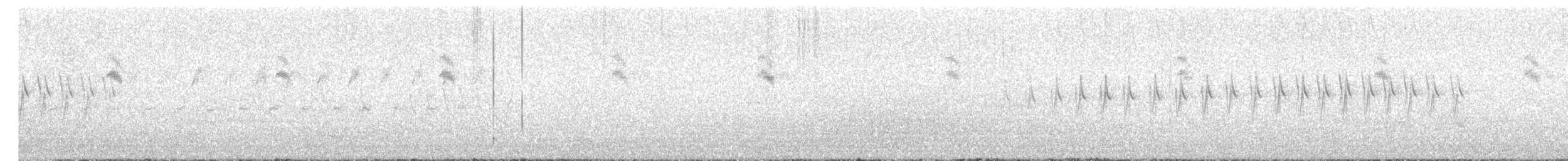 Water Pipit - ML637796248