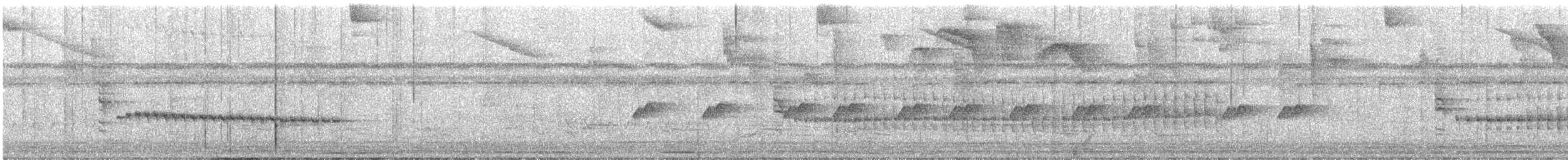 Long-billed Gnatwren - ML637796729