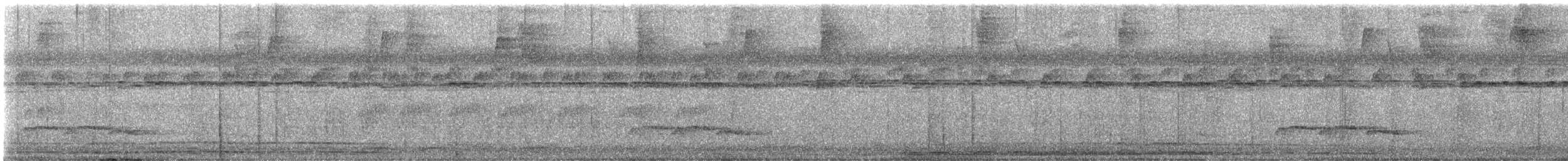 White-breasted Wood-Wren - ML637797120