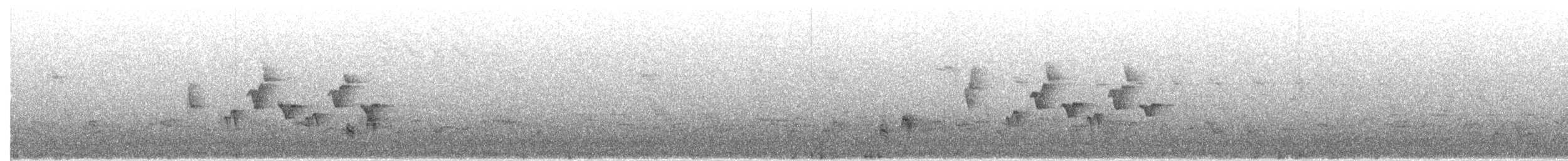 ムジオモリムシクイ - ML637797822