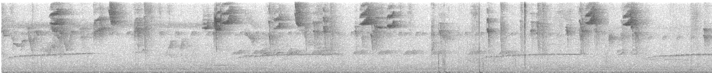 Long-billed Gnatwren - ML637797992