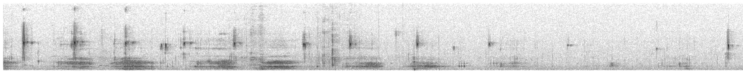 Black-fronted Dotterel - ML637799415
