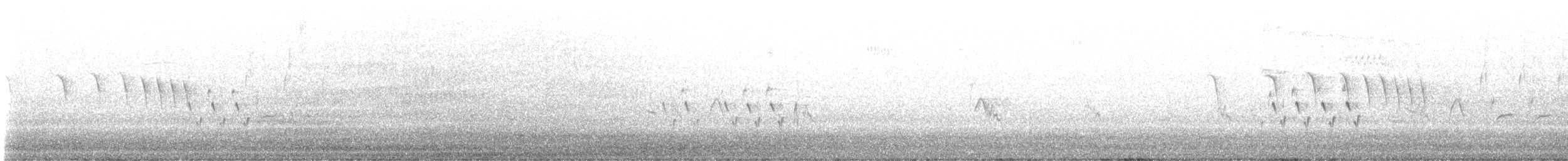 Northern House Wren - ML637799728