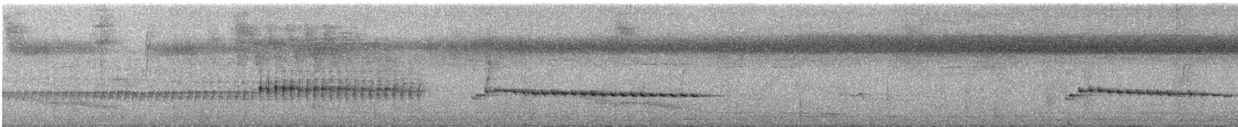 Long-billed Gnatwren - ML637800272