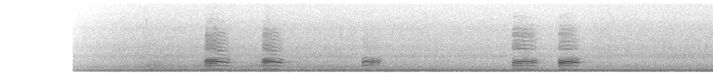 American Crow - ML637800816