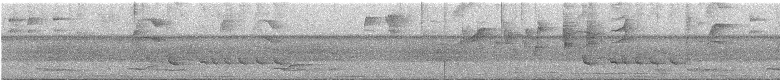 Lance-tailed Manakin - ML637801299