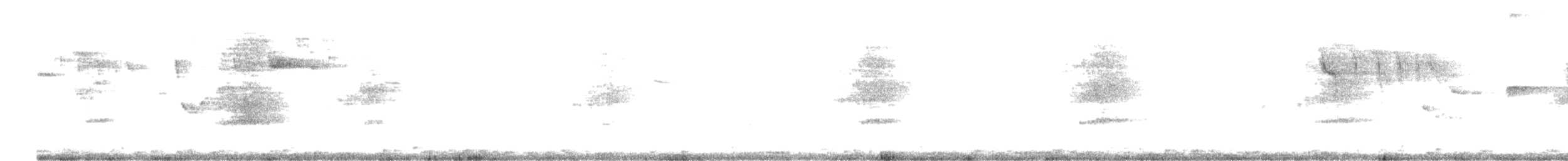 American Barn Owl - ML637804101