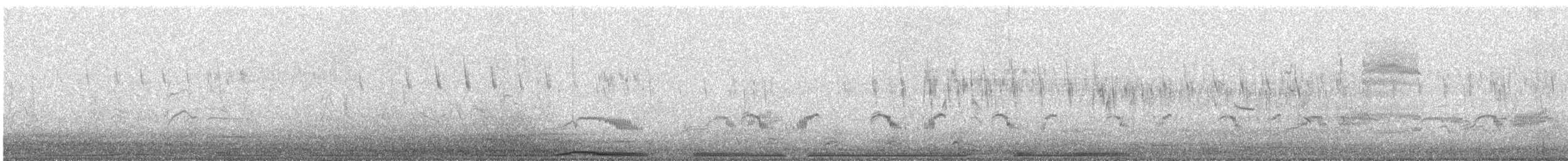 Eared Dove - ML637804450