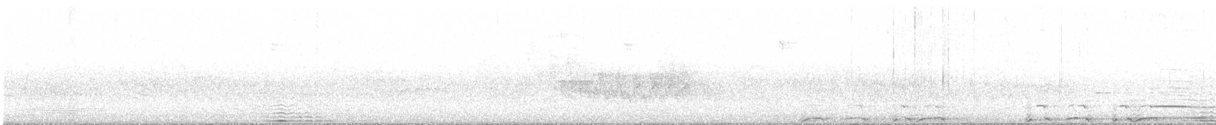 Barred Owl - ML637808304