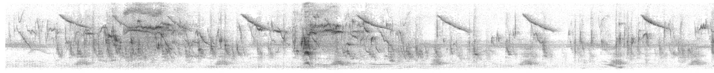 Sturnelle à sourcils blancs - ML637808819