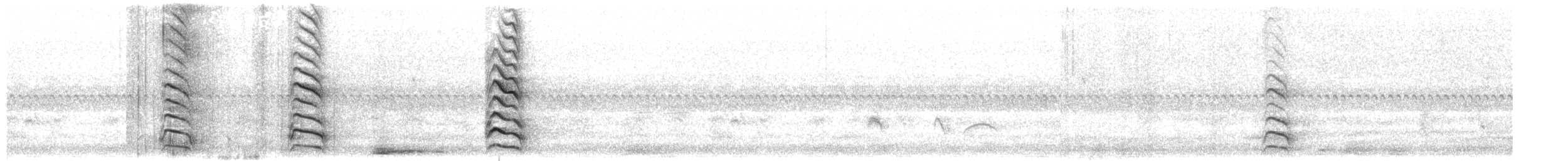 オオハシアジサシ - ML637809039