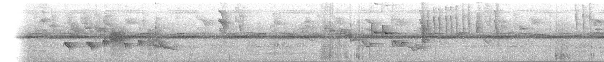 Grisin de Santa Marta - ML637811335