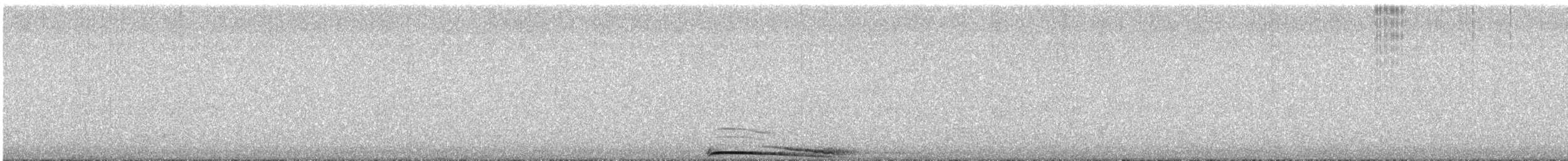 Barred Owl - ML637811860