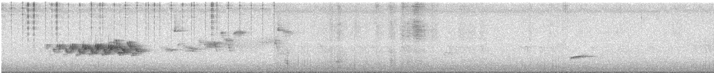 Black-throated Gray Warbler - ML637812184