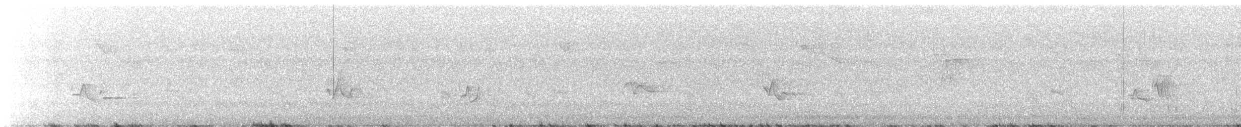 vireo sp. - ML637813050