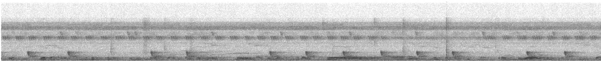 Large-tailed Nightjar - ML637813392