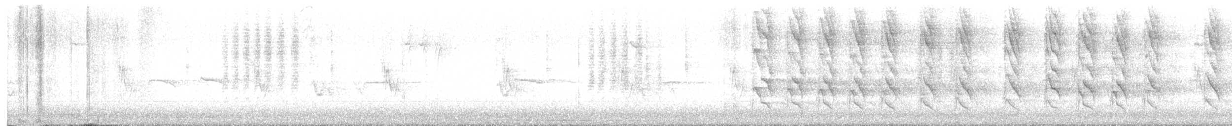 Rose-ringed Parakeet - ML637814223