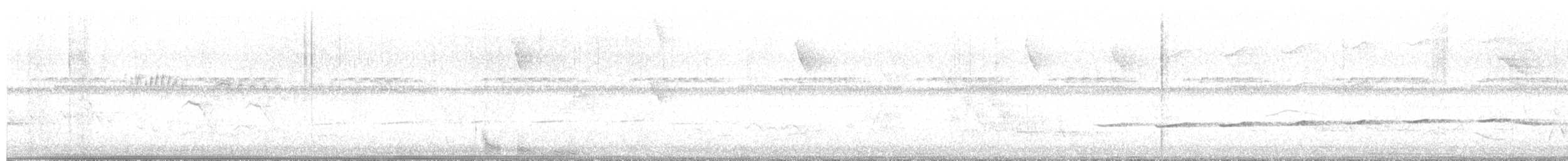 stripegjøk - ML637814597