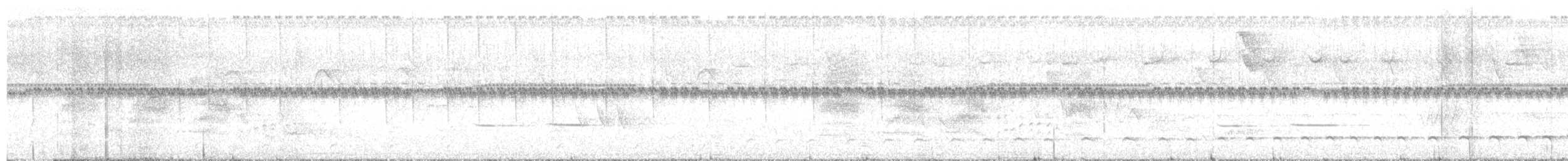 kremstrupetreløper - ML637814610