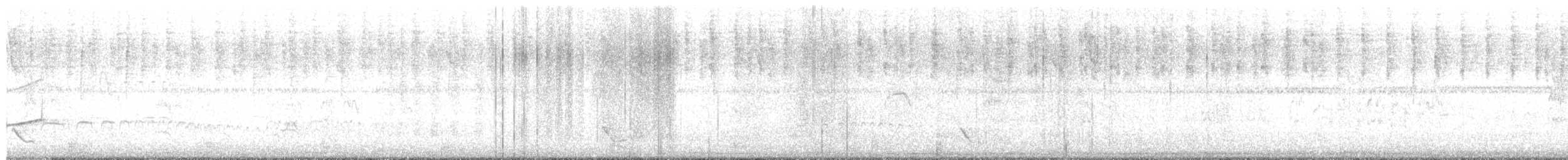 hvitbukfrøeter - ML637815703