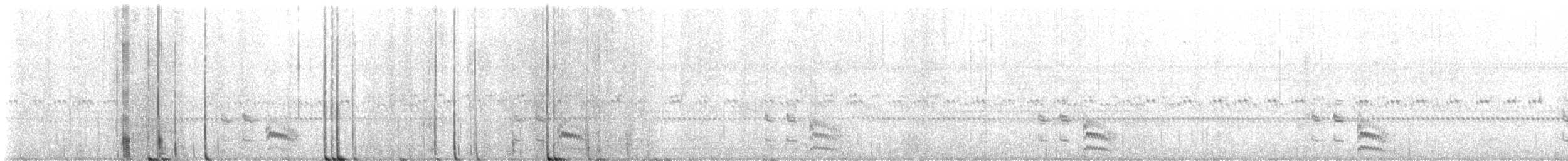 Black Rail - ML637815829